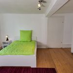 Miete 6 Schlafzimmer wohnung von 250 m² in Schöneck
