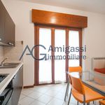 Rent 2 bedroom apartment of 43 m² in Bergamo