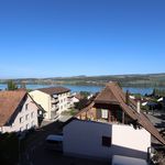 Rent 3 bedroom apartment in Beinwil am See