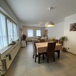 Rent 1 bedroom apartment in Holsbeek