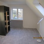 Rent 10 bedroom house of 302 m² in Nyborg