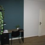 Rent 2 bedroom apartment of 46 m² in Dijon