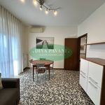 Rent 2 bedroom apartment of 66 m² in San Donato Milanese