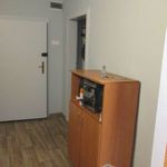 Rent 1 bedroom house of 34 m² in Katowice