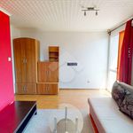 Rent 1 bedroom apartment of 26 m² in Wrocław