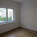 Rent 1 bedroom apartment of 41 m² in Leonding