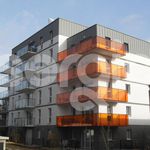 Rent 3 bedroom apartment of 52 m² in Croix