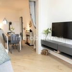 Rent 1 bedroom apartment of 65 m² in Ciampino