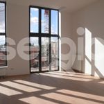 Rent 3 bedroom apartment of 78 m² in Lille