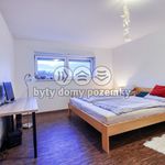 Rent 4 bedroom apartment of 118 m² in Plzeň
