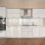 Rent 1 bedroom apartment of 70 m² in 19 Mayıs