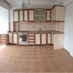 Rent 3 bedroom apartment of 100 m² in Cami