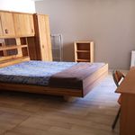 Rent 1 bedroom apartment in RODEZ