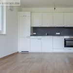 Rent 3 bedroom apartment of 73 m² in Pasching