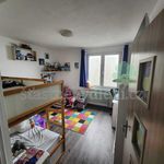 Rent 3 bedroom apartment of 73 m² in Děčín