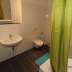 Rent 1 bedroom apartment of 49 m² in Nuremberg