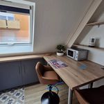 Rent 1 bedroom apartment of 22 m² in Haguenau