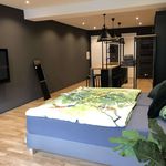 Rent 1 bedroom apartment of 40 m² in Nuremberg