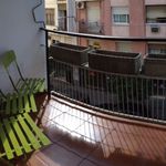 Alquilar 4 dormitorio apartamento en Córdoba