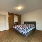Rent 3 bedroom apartment in Willebroek