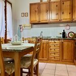 Rent 3 bedroom apartment of 78 m² in Montopoli in Val d'Arno