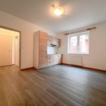 Rent 1 bedroom apartment of 29 m² in Humpolec
