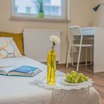 Rent a room in wroclaw
