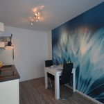 Miete 1 Schlafzimmer wohnung von 35 m² in Raunheim