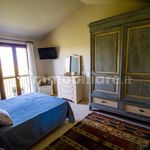 Rent 3 bedroom apartment of 85 m² in Capalbio