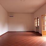 Affitto 6 camera appartamento di 160 m² in Barberino Tavarnelle