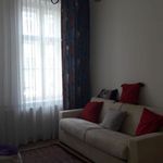 Rent 1 bedroom house of 160 m² in Brno