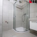 Rent 2 bedroom apartment of 41 m² in Brno