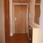Rent 1 bedroom apartment of 30 m² in Strancice