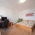 Pronajměte si 1 ložnic/e byt o rozloze 43 m² v Jáchymov