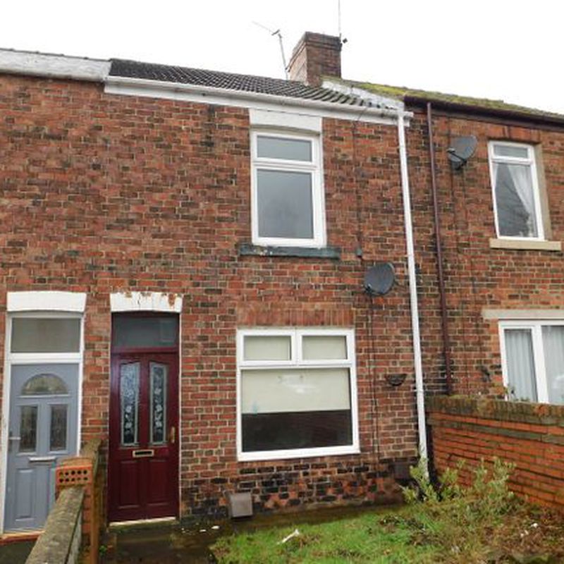 Terraced house to rent in Albion Avenue, Shildon, Bishop Auckland DL4