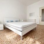 Affitto 2 camera appartamento di 58 m² in Torino