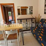 Rent 3 bedroom apartment of 42 m² in Ravenna