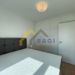 Najam 2 spavaće sobe stan od 49 m² u Zagreb
