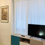 Rent 2 bedroom apartment of 43 m² in Torino