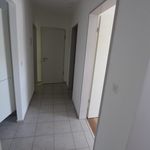 Rent 3 bedroom apartment of 78 m² in Grenchen