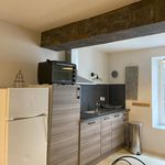 Rent 1 bedroom apartment of 22 m² in Tournus