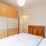 Rent 1 bedroom apartment of 50 m² in Kiel