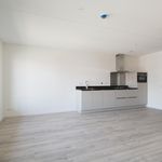 Rent 1 bedroom apartment of 40 m² in 's-Gravenhage