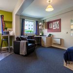 Rent 1 bedroom student apartment in Sheffield