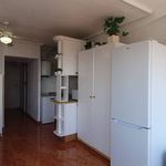 Alquilo 1 dormitorio apartamento de 40 m² en Torrevieja