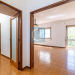 Alugar 4 quarto apartamento de 160 m² em Porto