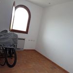 Affitto 1 camera appartamento di 40 m² in Frascati