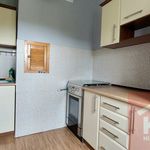 Rent 1 bedroom apartment of 35 m² in Bełchatów