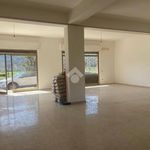 Affitto 1 camera appartamento di 100 m² in Atina