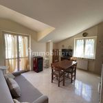 Rent 2 bedroom apartment of 80 m² in Vibo Valentia